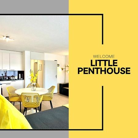 Апартаменты Little Penthouse **** Дитикон Экстерьер фото