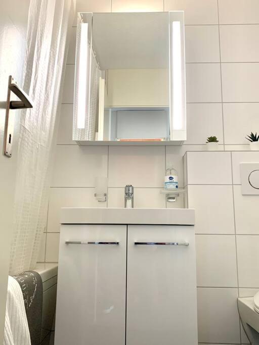 Апартаменты Little Penthouse **** Дитикон Экстерьер фото