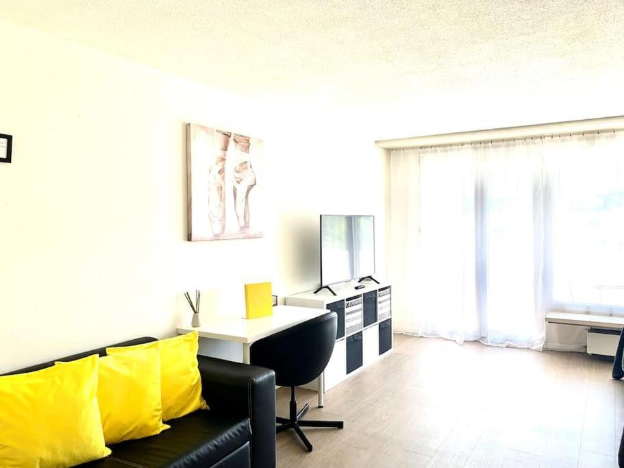 Апартаменты Little Penthouse **** Дитикон Экстерьер фото